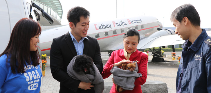 Inflight blankets keep animals snug during the cold winter months.
