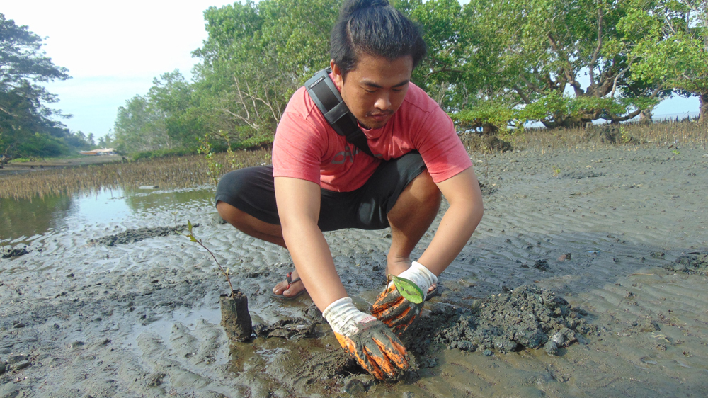 Stephen Soco, one of the CNCo volunteers, planting mangrove seedlings.