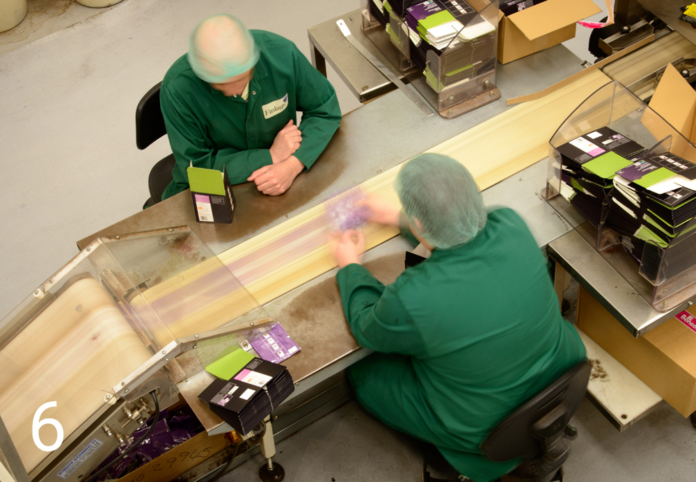 After rigorous quality checks, the tea is packed on a high-speed packing line. Finlays&rsquo; facility in Yorkshire packs over 12 million kg of tea a year.