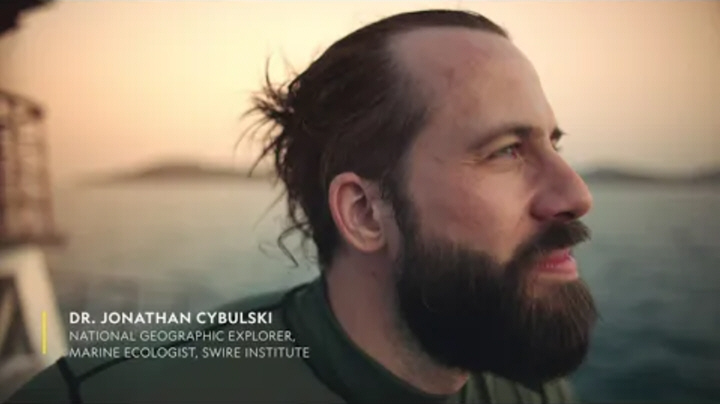 Jon Cybulski: Time Travelling With Coral