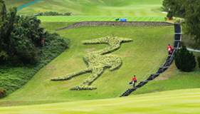 The Scott Cup 2016