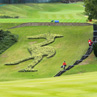 The Scott Cup 2016