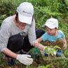 Sowing the seeds of hope
