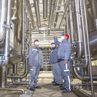 Investment in new production lines