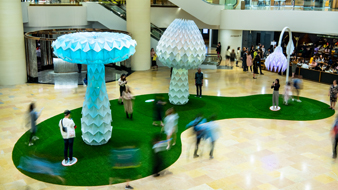 Transcending borders with art