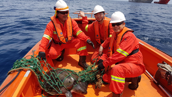 Turtle rescue mission