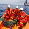 Turtle rescue mission