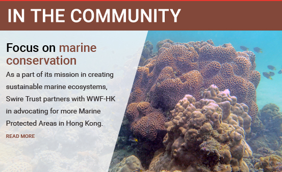 Focus on marine conservation: As a part of its mission in creating sustainable marine ecosystems, Swire Trust partners with WWF-HK in advocating for more marine protected areas in Hong Kong.