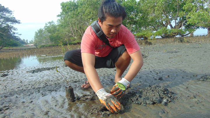 Coastal conservation