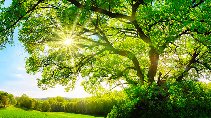 Sustainability efforts recognised