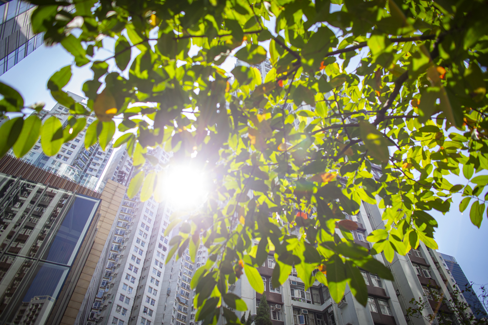 Financing for a sustainable future