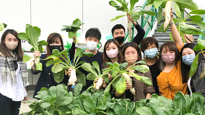 Swire Properties' urban farms donate fresh organic vegetables