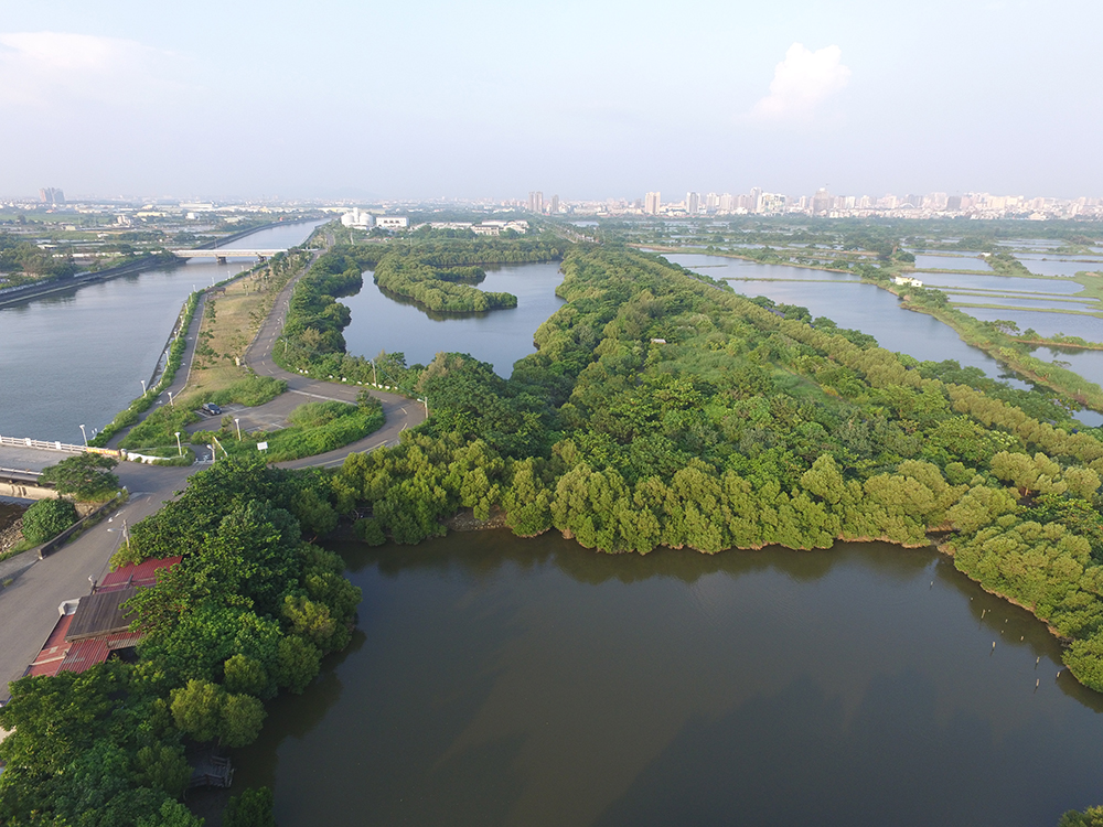 The Yuanjhong Harbour Wetland.
