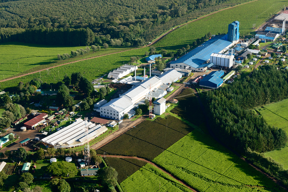 The Saosa tea extraction facility at Kericho.